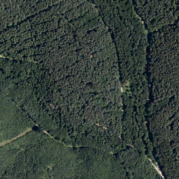 Satellite imagery of Angerwald, AT