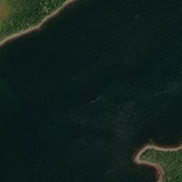 Satellite imagery of Colliers Arm Wester Point, CA