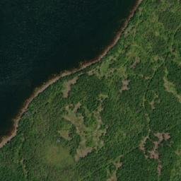 Satellite imagery of Colliers Arm Wester Point, CA