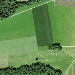 Satellite imagery of Schloss Klingenberg, CH