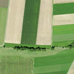 Satellite imagery of Schloss Klingenberg, CH