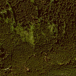 Satellite imagery of Hochrieskopf, DE
