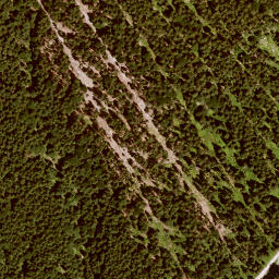 Satellite imagery of Wolfskopf, DE