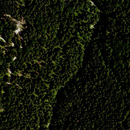 Satellite imagery of Alpenkopf, DE