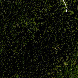 Satellite imagery of Alpenkopf, DE