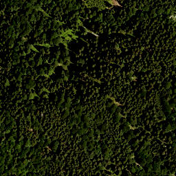 Satellite imagery of Alpenkopf, DE