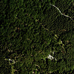 Satellite imagery of Mittereck, DE