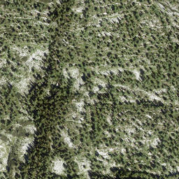 Satellite imagery of Schwarzkoppen, AT