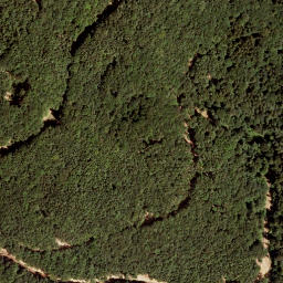 Satellite imagery of survey_point, AT