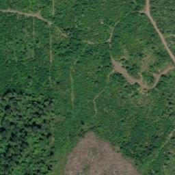 Satellite imagery of LANGLOIS — NGS SX1455 — King County, US, US