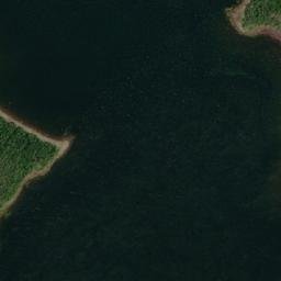 Satellite imagery of Colliers Arm Wester Point, CA