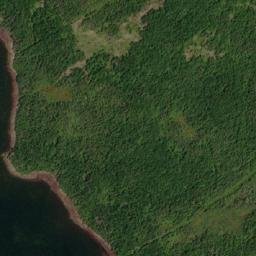 Satellite imagery of Colliers Arm Wester Point, CA