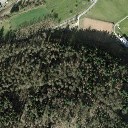 Satellite imagery of Schneckenberg, DE