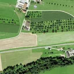 Satellite imagery of Schloss Klingenberg, CH