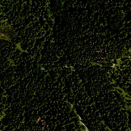 Satellite imagery of Alpenkopf, DE