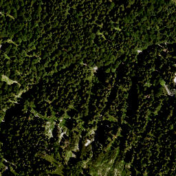 Satellite imagery of Alpenkopf, DE
