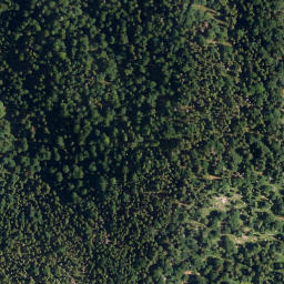 Satellite imagery of Schlagkopf, DE