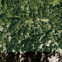 Satellite imagery of Zirbeneck, DE