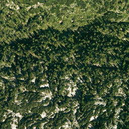 Satellite imagery of Zirbeneck, DE
