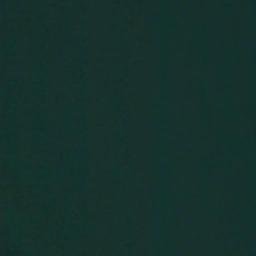 Satellite imagery of Wing Point, US