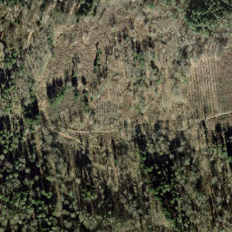 Satellite imagery of Schneckenberg, DE