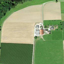 Satellite imagery of Schloss Klingenberg, CH