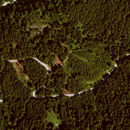 Satellite imagery of Birnkopf, DE