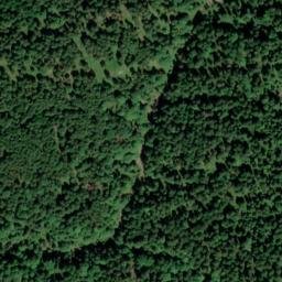 Satellite imagery of Mitterwachsbichel, DE