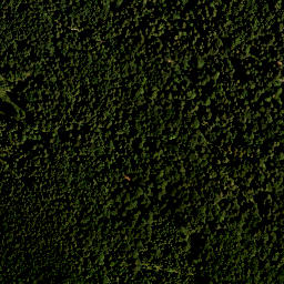 Satellite imagery of Zweipfennigberg, DE