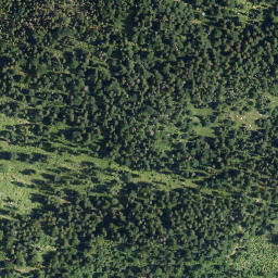 Satellite imagery of Schlagkopf, DE