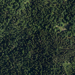 Satellite imagery of Tuschberg, DE