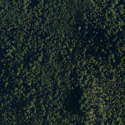 Satellite imagery of Nesselberg, AT