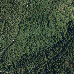 Satellite imagery of Reinhardsberg, AT