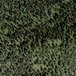Satellite imagery of Sauriedel, AT