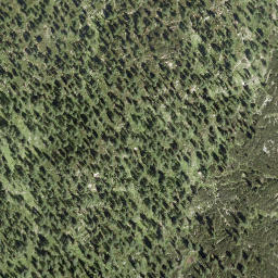 Satellite imagery of Walcherkopf, AT