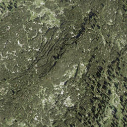 Satellite imagery of Walcherkopf, AT