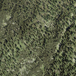 Satellite imagery of Walcherkopf, AT