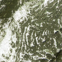 Satellite imagery of Schwarzkoppen, AT