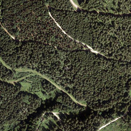 Satellite imagery of Rausch Kogel, AT