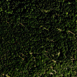 Satellite imagery of Lettner Berg, DE