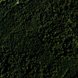 Satellite imagery of Hohenwiesner Berg, DE