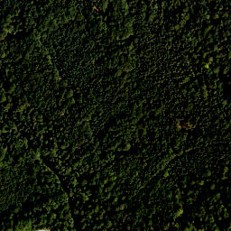 Satellite imagery of Hohenwiesner Berg, DE