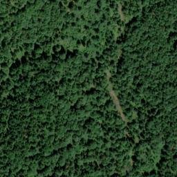 Satellite imagery of Saurüsselkopf, DE