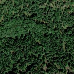 Satellite imagery of Zwieselberg, DE