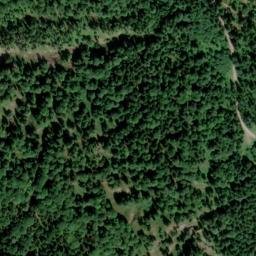 Satellite imagery of Zwieselberg, DE