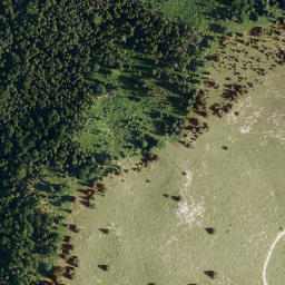 Satellite imagery of Nesselberg, AT