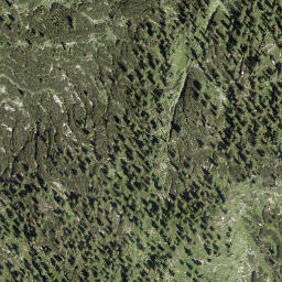 Satellite imagery of Walcherkopf, AT