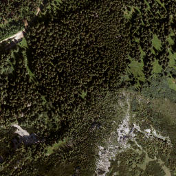 Satellite imagery of Rausch Kogel, AT