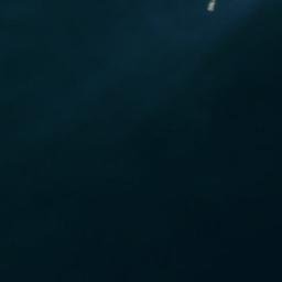 Satellite imagery of Swede Point, US