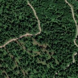 Satellite imagery of Mitterwachsbichel, DE